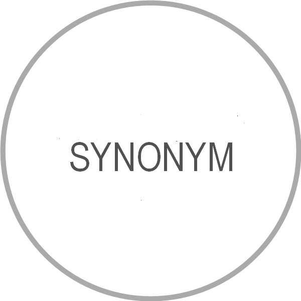Datei:Synonym.jpg