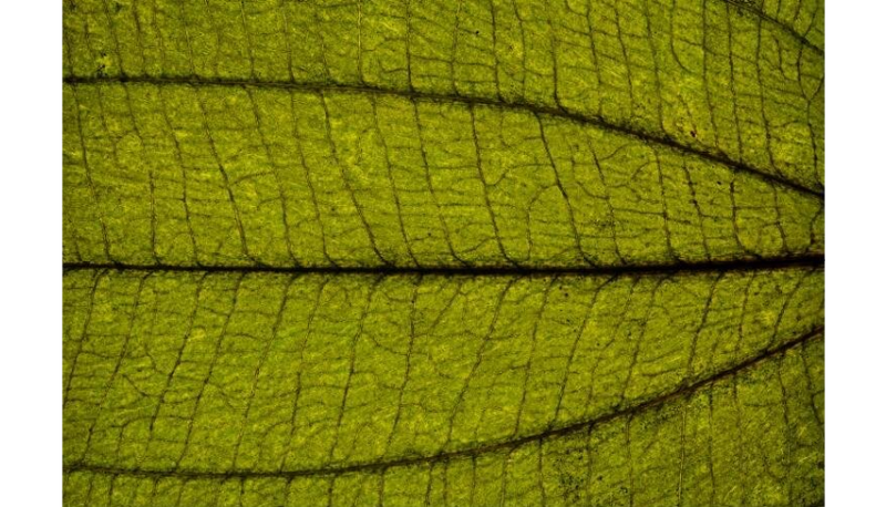 Datei:Sankt Elmsfeuer4.png